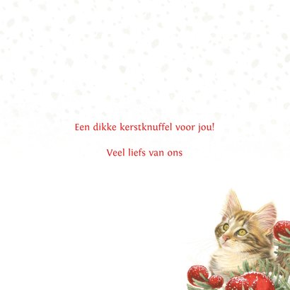 Kerstkaart met lieve kat in kerstmand 3