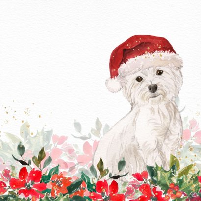 Kerstkaart met Maltezer hond, kerstmuts en kerstgroen 2