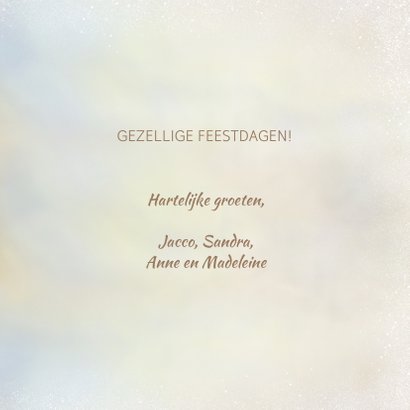 Kerstkaart met pimpelmezen 3