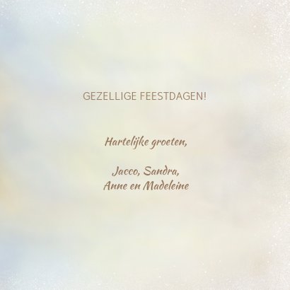 Kerstkaart met pimpelmezen 3
