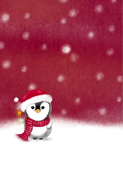 Kerstkaart met pinguïn en eigen foto – lieve winterkaart met 2
