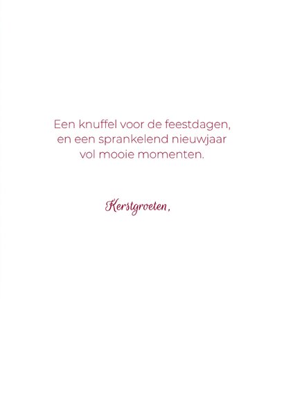 Kerstkaart met pinguïn en eigen foto – lieve winterkaart met 3