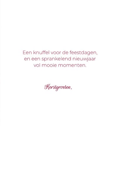 Kerstkaart met pinguïn en eigen foto – lieve winterkaart met 3