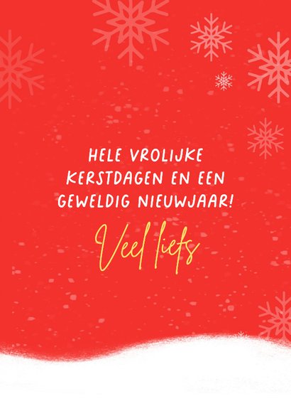 Kerstkaart met pinguïn met kerstlichtjes 3