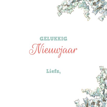 Kerstkaart met poes Molly en Benno 3