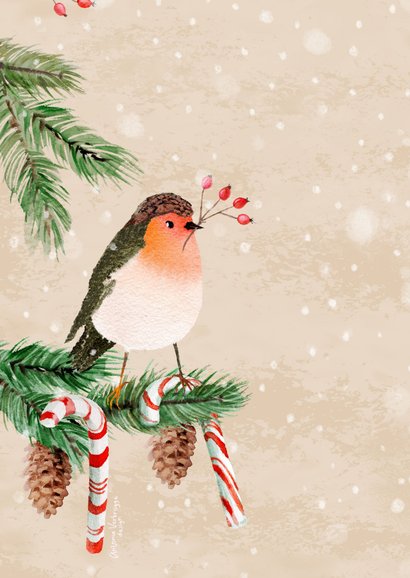 Kerstkaart met roodborst en zuurstokken 2