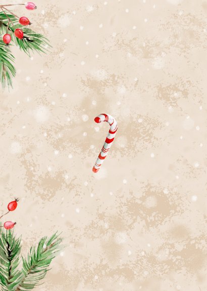 Kerstkaart met roodborst en zuurstokken Achterkant