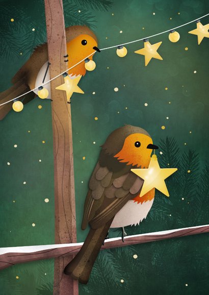 Kerstkaart met roodborstje en kerst lampjes 2