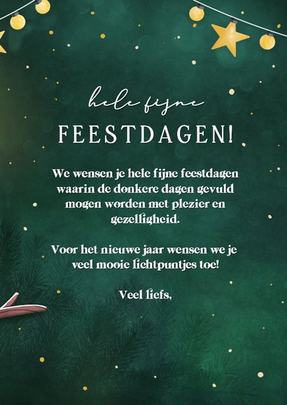 Kerstkaart met roodborstje en kerst lampjes 3