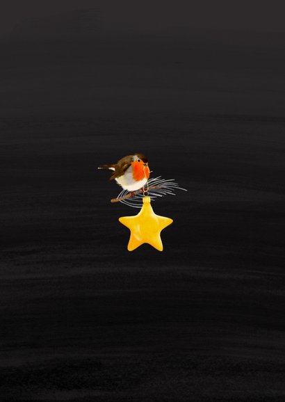 Kerstkaart met roodborstje en kerstster Achterkant