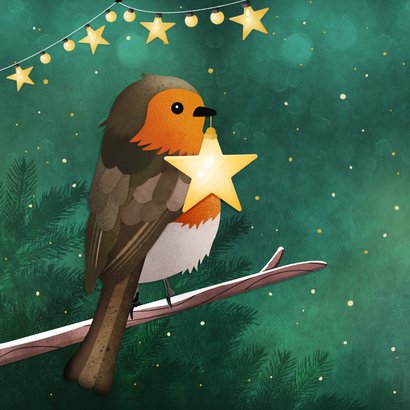 Kerstkaart met roodborstje op tak met ster lichtje 2