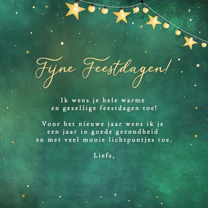 Kerstkaart met roodborstje op tak met ster lichtje 3