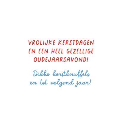 Kerstkaart met schaatsend nijlpaard 3