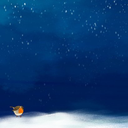 Kerstkaart met sneeuwpop en roodborstje in de sneeuw Achterkant
