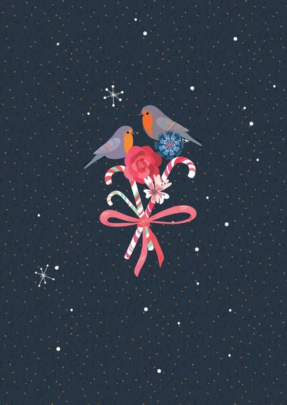 Kerstkaart met twee lieve roodborstjes 2