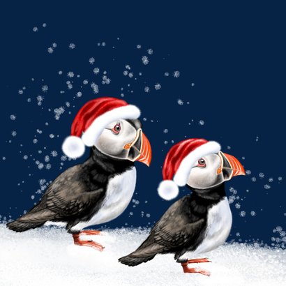 Kerstkaart met twee papegaaiduikers 2