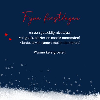 Kerstkaart met twee papegaaiduikers 3