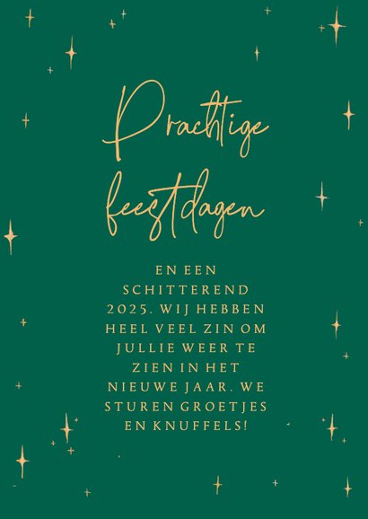 Kerstkaart met twee poezen en sterren  3