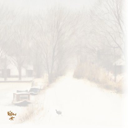 Kerstkaart met wintertafereel 'Meerkoet op ijs' 2