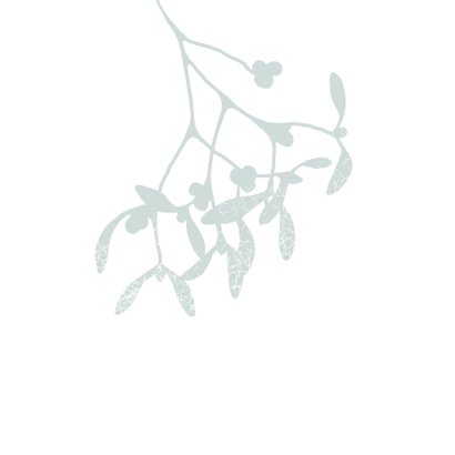 Kerstkaart mistletoe 2020 2
