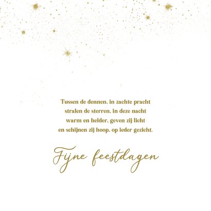 Kerstkaart onder de sterren hert 3