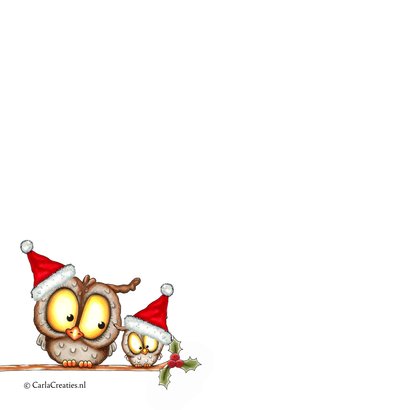 Kerstkaart 'owl I want for Christmas' 2