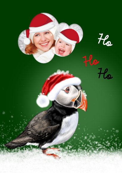 Kerstkaart papegaaiduiker in de winter 2