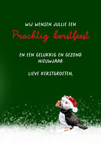 Kerstkaart papegaaiduiker in de winter 3