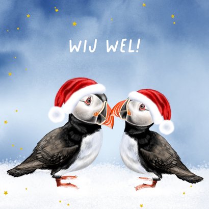 Kerstkaart papegaaiduiker met kerstmuts in de sneeuw 2