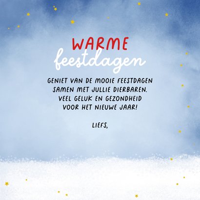 Kerstkaart papegaaiduiker met kerstmuts in de sneeuw 3