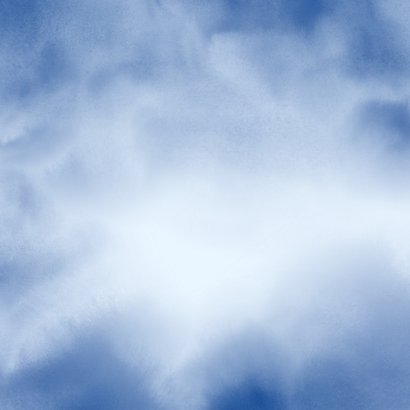 Kerstkaart papegaaiduiker met kerstmuts in de sneeuw Achterkant