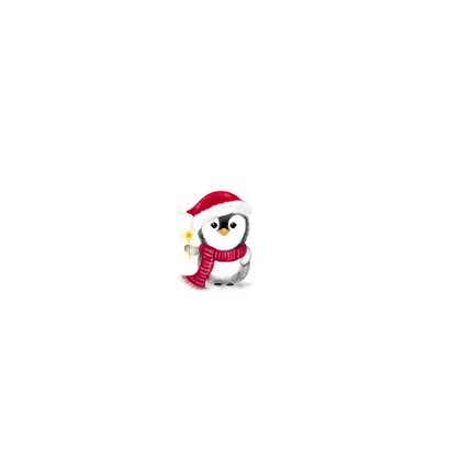 Kerstkaart pinguin met foto bij kerstboom met kerstlichtjes Achterkant