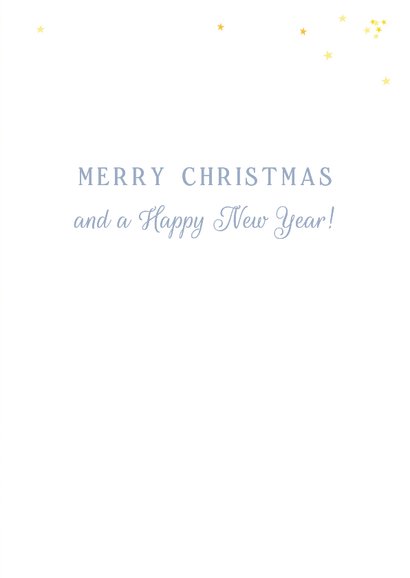 Kerstkaart Pinguïn – Warm Winter Wishes – Winterkaart 3