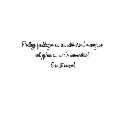 Kerstkaart proostende kippen 3