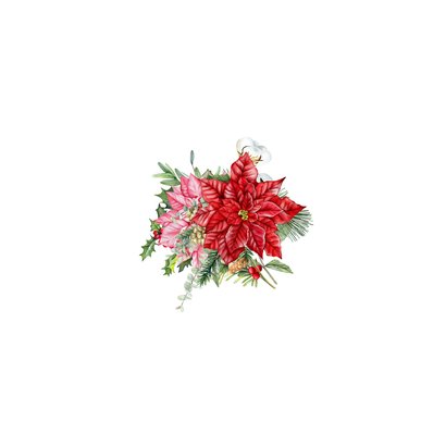 Kerstkaart rode en roze kerstbloemen kerstster Achterkant