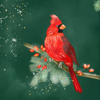 Kerstkaart rode kardinaal 2