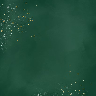 Kerstkaart rode kardinaal Achterkant