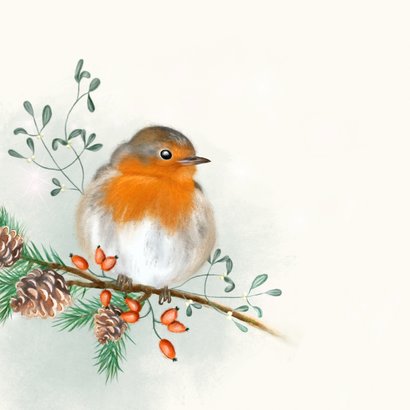 Kerstkaart roodborst met dennenappels 2