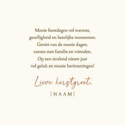 Kerstkaart roodborst met dennenappels 3