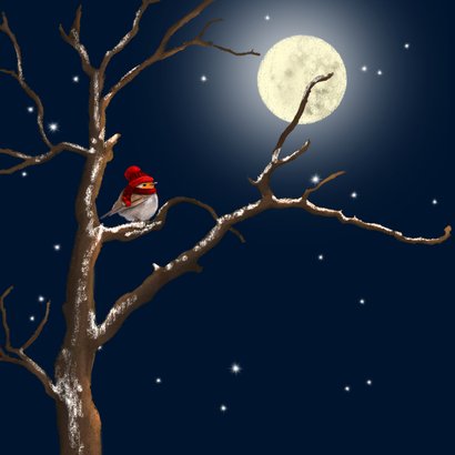 Kerstkaart roodborst rode muts en maan 2