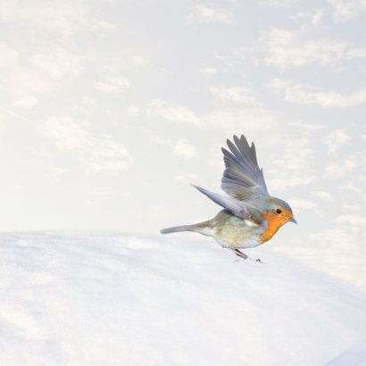 Kerstkaart roodborst sneeuw met jaartal 2