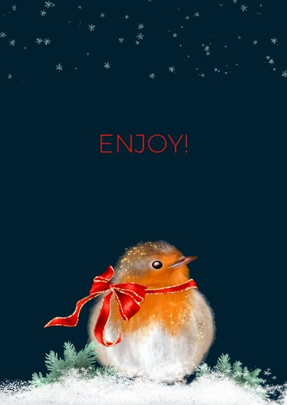 Kerstkaart roodborst strik en maan 2