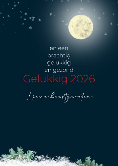 Kerstkaart roodborst strik en maan 3