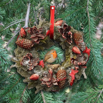 Kerstkaart roodborstje en bord 2