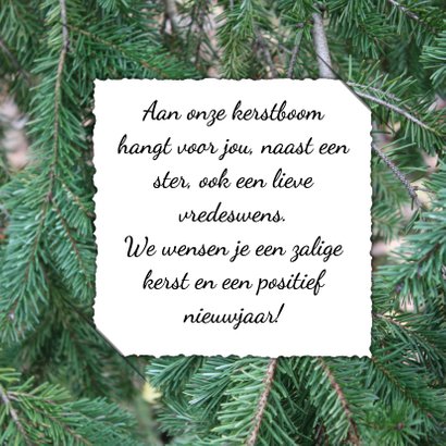 Kerstkaart roodborstje en bord 3