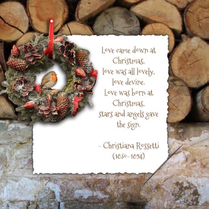 Kerstkaart roodborstje en foto 2