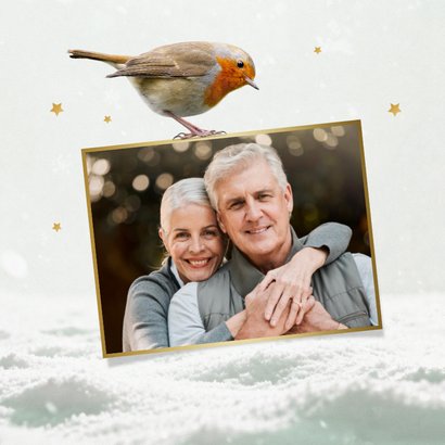 Kerstkaart roodborstje foto fijne feestdagen sneeuw  2
