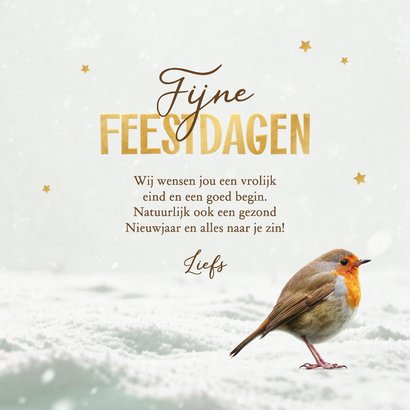 Kerstkaart roodborstje foto fijne feestdagen sneeuw  3