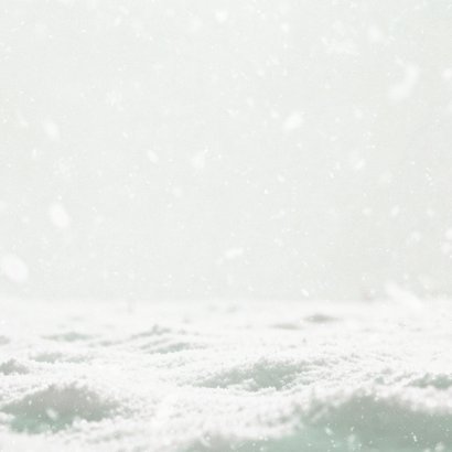 Kerstkaart roodborstje foto fijne feestdagen sneeuw  Achterkant