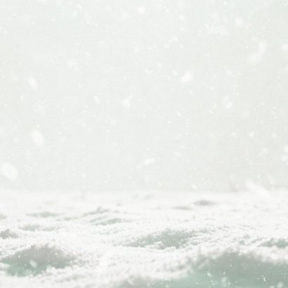 Kerstkaart roodborstje foto fijne feestdagen sneeuw  Achterkant